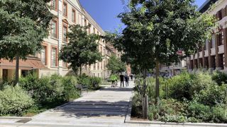 « Replacer le végétal dans nos vies », tel est le message martelé par Catherine Muller, présidente de Valhor, à l’occasion de l’assemblée générale du 18 octobre qui s’est tenue en visioconférence. Les Victoires du paysage sont un bon vecteur de ce message, comme ici à Montauban (82), où le projet « cœur de ville » a été récompensé d’une Victoire d’or l’an dernier.