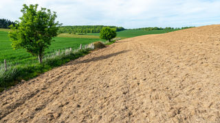 La Normandie et les Pays de la Loire sont soumises à des obligations de réimplantation de prairies permanentes. La Normandie et les Pays de la Loire sont soumises à des obligations de réimplantation de prairies permanentes.