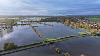Dans le Pas-de-Calais, environ 100 000 ha seraient touchés par les crues et les inondations, selon la coopérative Unéal. Dans le Pas-de-Calais, environ 100 000 ha seraient touchés par les crues et les inondations, selon la coopérative Unéal.
