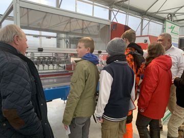 Chrysanthème et jeunes plants