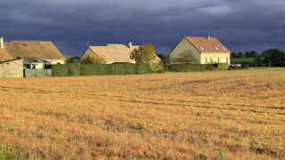 Le ministère de l'Agriculture a précisé qu'en France, l'utilisation du glyphosate sera toujours encadrée, et autorisée seulement là où aucune alternative n'existe. Le ministère de l'Agriculture a précisé qu'en France, l'utilisation du glyphosate sera toujours encadrée, et autorisée seulement là où aucune alternative n'existe.