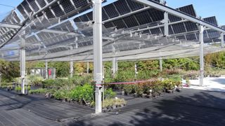 A l’exploitation du lycée de Dardilly, cinq cents panneaux photovoltaïques mobiles ont été installés début 2023, à six mètres au-dessus d’une parcelle de pépinière hors sol et de deux parcelles de petits fruits (framboises hors sol et fraises pleine terre bio).