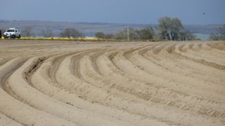 Selon la Fedepom, la surface de plants certifiés de pomme de terre en France est de 21 000 ha en 2023.