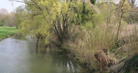 Cours d'eau