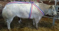 concours d'Evron 1er decembre 2012