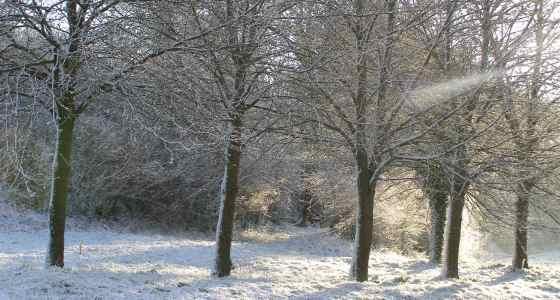 Froid et neige
