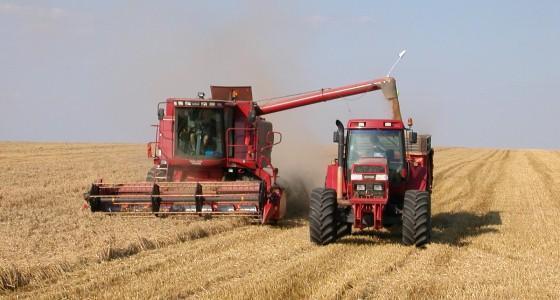 Cours des céréales en 2012 et 2013.