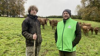 Sébastien (à droite) et Pierre Rivière poursuivent le travail de sélection conduit par leur père avec 150 vaches limousines conduites en plein air. Sébastien (à droite) et Pierre Rivière poursuivent le travail de sélection conduit par leur père avec 150 vaches limousines conduites en plein air.