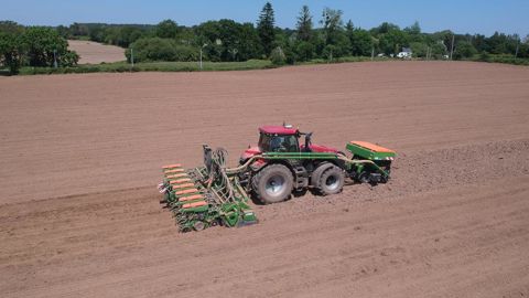 Le châssis du semoir, avec ses huit éléments monograines, est directement fixé à la herse, sans relevage intermédiaire, ce qui limite le porte-à-faux.