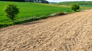 Pour 2023 et 2024, la Bretagne et le Grand-Est sont soumis au régime d'autorisation et la Normandie tandis que les Pays de la Loire au régime d'interdiction de retournement des prairies. Pour 2023 et 2024, la Bretagne et le Grand-Est sont soumis au régime d'autorisation et la Normandie tandis que les Pays de la Loire au régime d'interdiction de retournement des prairies.