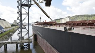 Le transport des céréales jusqu'à Rouen via la Seine sera très dégradée durant les JO de 2024. Le transport des céréales jusqu'à Rouen via la Seine sera très dégradée durant les JO de 2024.