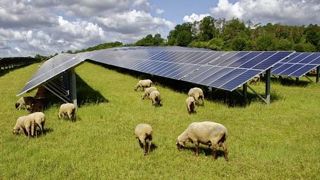 ERG Développement France et la Fédération nationale ovine ont signé un partenariat d'une durée de trois ans pour développer l'agrivoltaïsme. ERG Développement France et la Fédération nationale ovine ont signé un partenariat d'une durée de trois ans pour développer l'agrivoltaïsme.