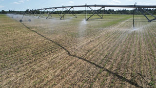 Dans les Landes, des agriculteurs s’inquiètent de la disponibilité de la ressource en eau pour leurs cultures. Dans les Landes, des agriculteurs s’inquiètent de la disponibilité de la ressource en eau pour leurs cultures.