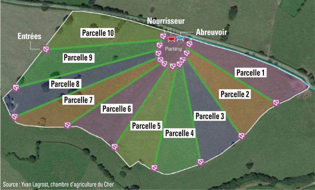 Bac de pâturage La Gée Spécial ovins