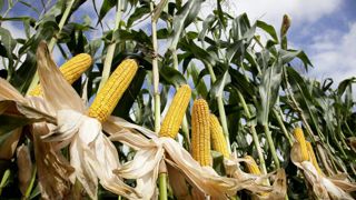 Mettre toutes les chances de son côté