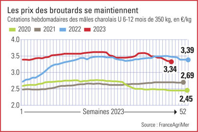 évolution des prix des broutards charolais U