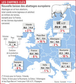 évolution du tonnage de viande ovine dans l'Union européenne évolution du tonnage de viande ovine dans l'Union européenne