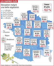 rendement du colza dans les différentes régions françaises et son évolution en 2023 par rapport à 2022 rendement du colza dans les différentes régions françaises et son évolution en 2023 par rapport à 2022