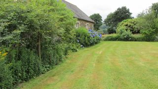 Selon la dernière enquête menée par BVA à la demande de l’interprofession des semences Semae, 69 % des Français disposent d’une pelouse.