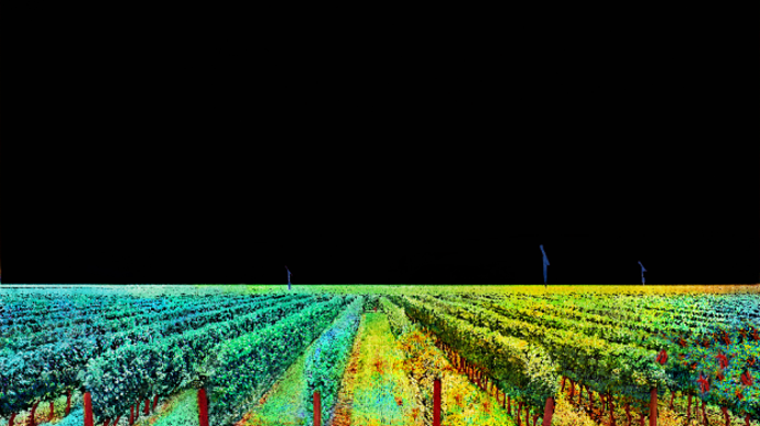 Reconstruction d’un nuage de points issu du Lidar multispectral d’Iridesense. Ici, il est possible de comparer des vignes en bonne santé (à gauche) et en mauvaise santé (à droite).