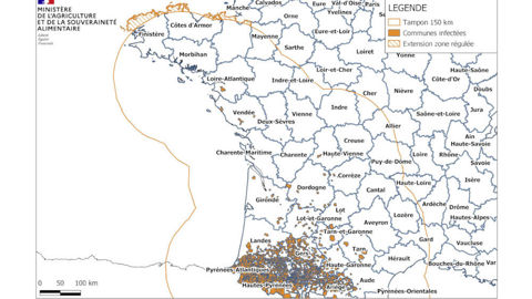 Foyers et zones réglementées à cause de la maladie hémorragique épizootique en France.