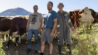 Dans son documentaire « La ferme des Bertrand », Gilles Perret met en lumière une exploitation modernisée de la Haute-Savoie, productrice de reblochon. Dans son documentaire « La ferme des Bertrand », Gilles Perret met en lumière une exploitation modernisée de la Haute-Savoie, productrice de reblochon.