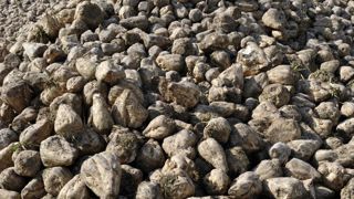 La collective du bioéthanol anticipe une hausse de la demande de 5 % en 2024. La collective du bioéthanol anticipe une hausse de la demande de 5 % en 2024.