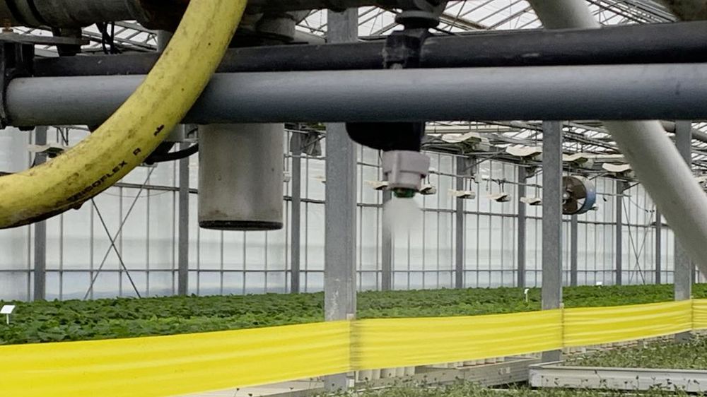 Le nombre de matières actives phytosanitaires disponibles sur le marché va baisser, en particulier au niveau européen, soit parce qu’elles seront interdites, soit parce que les firmes qui les portent ne feront pas l’effort financier nécessaire pour renouveler les homologations. Le nombre de matières actives phytosanitaires disponibles sur le marché va baisser, en particulier au niveau européen, soit parce qu’elles seront interdites, soit parce que les firmes qui les portent ne feront pas l’effort financier nécessaire pour renouveler les homologations.