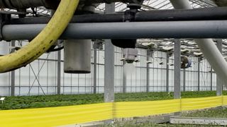 Le nombre de matières actives phytosanitaires disponibles sur le marché va baisser, en particulier au niveau européen, soit parce qu’elles seront interdites, soit parce que les firmes qui les portent ne feront pas l’effort financier nécessaire pour renouveler les homologations. Le nombre de matières actives phytosanitaires disponibles sur le marché va baisser, en particulier au niveau européen, soit parce qu’elles seront interdites, soit parce que les firmes qui les portent ne feront pas l’effort financier nécessaire pour renouveler les homologations.
