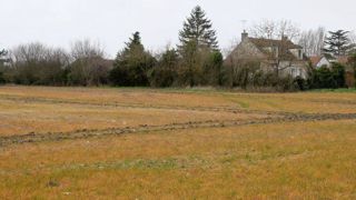 Selon les ONG, « des risques importants ont été négligés ou n'ont pas été pris suffisamment au sérieux » concernant la réévaluation du glyphosate. Selon les ONG, « des risques importants ont été négligés ou n'ont pas été pris suffisamment au sérieux » concernant la réévaluation du glyphosate.