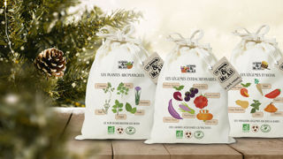 Avec le slogan « Pourquoi ne pas offrir du vivant ? », l’enseigne a adapté la scénographie de ses kits de jardinage bio. Avec le slogan « Pourquoi ne pas offrir du vivant ? », l’enseigne a adapté la scénographie de ses kits de jardinage bio.