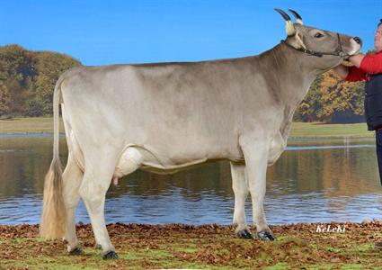 ELSA (LUKAS x MARKUS-ET) à Anderegg Andreas, 3857 Unterbach BE