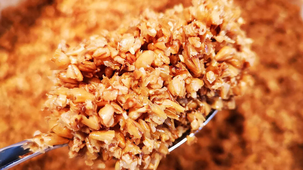 Les drêches, un coproduit de brasserie à valoriser en boulangerie.