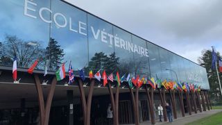 En additionnant l’école vétérinaire privée de Rouen aux quatre établissements publics déjà existants (Paris, Nantes, Lyon et Toulouse), 840 vétérinaires seront formés en France chaque année en 2030. En additionnant l’école vétérinaire privée de Rouen aux quatre établissements publics déjà existants (Paris, Nantes, Lyon et Toulouse), 840 vétérinaires seront formés en France chaque année en 2030.