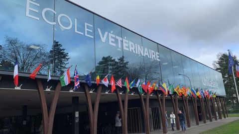En additionnant l’école vétérinaire privée de Rouen aux quatre établissements publics déjà existants (Paris, Nantes, Lyon et Toulouse), 840 vétérinaires seront formés en France chaque année en 2030. En additionnant l’école vétérinaire privée de Rouen aux quatre établissements publics déjà existants (Paris, Nantes, Lyon et Toulouse), 840 vétérinaires seront formés en France chaque année en 2030.