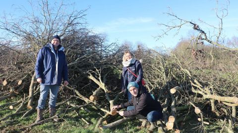 De gauche à droite : Denis Bertrand, agriculteur, Aurélie Lajoye, de la chambre d’agriculture, et Pierric Cordouan, du CBB 35, sur un chantier de bois élagué prêt à être broyé à La Nouaye, dans l'Ille-et-Vilaine.