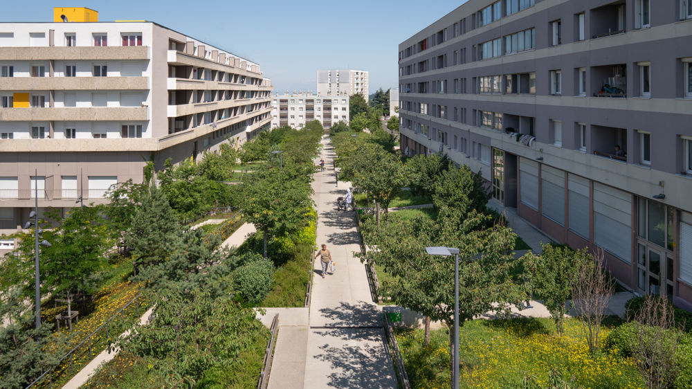 Le Grand Prix du jury de l'édition 2022 avait été décerné à la ville de Saint-Étienne pour l'opération de réaménagement du quartier Montreynaud. Concepteur : In Situ Paysages et Urbanisme ; entreprise : Green Style ; pépiniéristes : Daniel Soupe, Végétal Passion, du Buyet, Imbert, Cholat. 