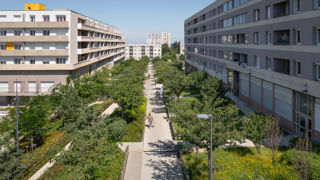 Le Grand Prix du jury de l'édition 2022 avait été décerné à la ville de Saint-Étienne pour l'opération de réaménagement du quartier Montreynaud. Concepteur : In Situ Paysages et Urbanisme ; entreprise : Green Style ; pépiniéristes : Daniel Soupe, Végétal Passion, du Buyet, Imbert, Cholat. 
