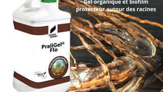 Praligel Flo : lauréat 2024 d'un Sival de bronze dans la catégorie "Intrants, protection des cultures, fertilisation et substrats". Praligel Flo : lauréat 2024 d'un Sival de bronze dans la catégorie "Intrants, protection des cultures, fertilisation et substrats".