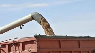 Le Premier ministre polonais a déclaré que la Pologne réclamerait à l'Union européenne des « sanctions complètes » contre les produits agricoles et alimentaires russes et biélorusses. Le Premier ministre polonais a déclaré que la Pologne réclamerait à l'Union européenne des « sanctions complètes » contre les produits agricoles et alimentaires russes et biélorusses.