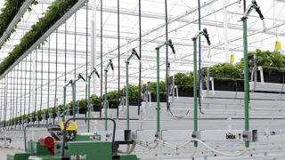 Entomatic, s’adapte aux besoins de l’exploitation, configuration de serre et culture. Entomatic, s’adapte aux besoins de l’exploitation, configuration de serre et culture.