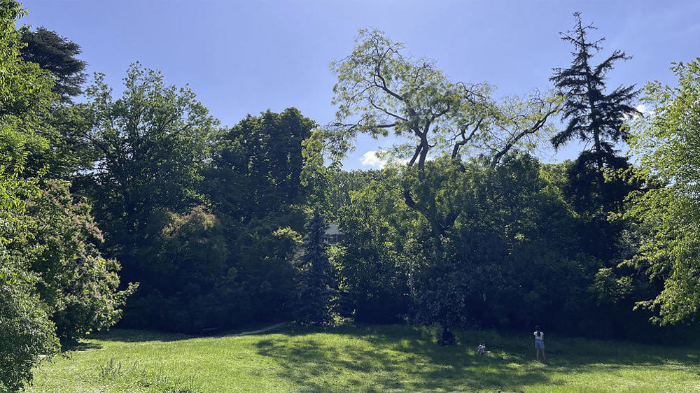 La société française Iridesense a présenté aux Etats-Unis un appareil capable d’analyser en temps réel la santé des plantes et l’humidité d’un sol. La société française Iridesense a présenté aux Etats-Unis un appareil capable d’analyser en temps réel la santé des plantes et l’humidité d’un sol.