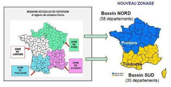 Bassin de cotation ovins