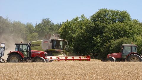 Intercéréales relance l'initiative moissonneuse.fr pour cette moisson 2024.