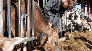 L’enseignement agricole est confronté à une transition écologique, mais aussi robotique et numérique. L’enseignement agricole est confronté à une transition écologique, mais aussi robotique et numérique.
