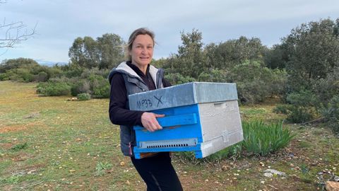 Installée depuis quatre ans, Julie Victoria produit 6 tonnes de miel en moyenne avec 300 ruches contre 8 t en 2020, avec 100 ruches de moins.