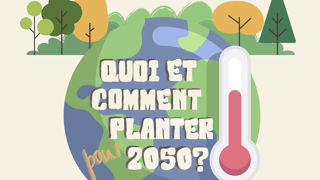 Un cocktail de conférences, visites, débats, échanges et séance de cinéma dévoileront les contours d’une nouvelle approche du sol pour mieux planter. Un cocktail de conférences, visites, débats, échanges et séance de cinéma dévoileront les contours d’une nouvelle approche du sol pour mieux planter.