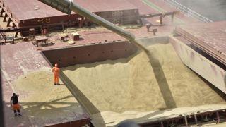 Selon FranceAgriMer, le blé tendre français représente 24% des importations chinoises à fin février. Selon FranceAgriMer, le blé tendre français représente 24% des importations chinoises à fin février.