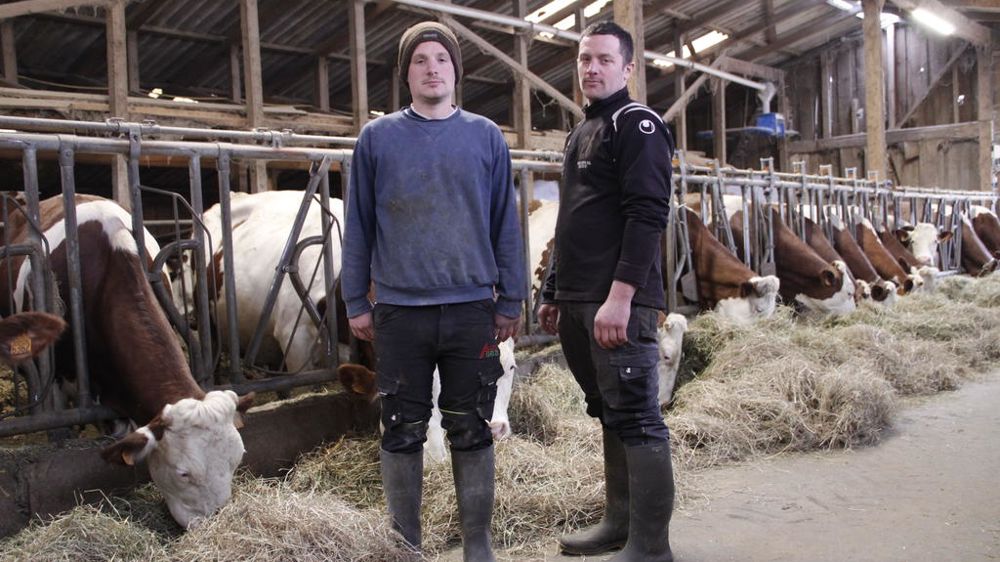 « Si nous voulons faire durer nos vaches, nous ne pouvons pas les pousser », estiment Clément et Jean-Baptiste Troncin.