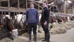 « Si nous voulons faire durer nos vaches, nous ne pouvons pas les pousser », estiment Clément et Jean-Baptiste Troncin.